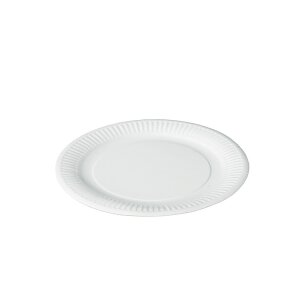 Pappteller, weiß, rund, 23cm (500 Stk.)